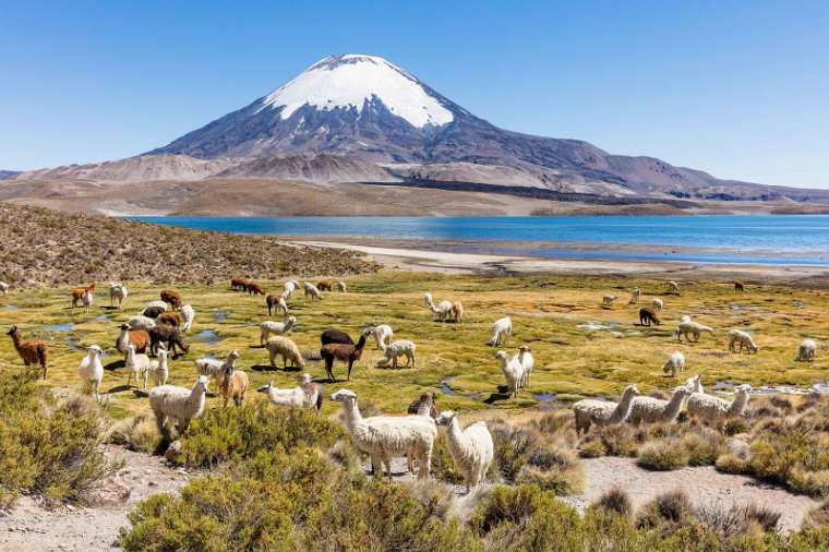 036 Lauca NP.jpg